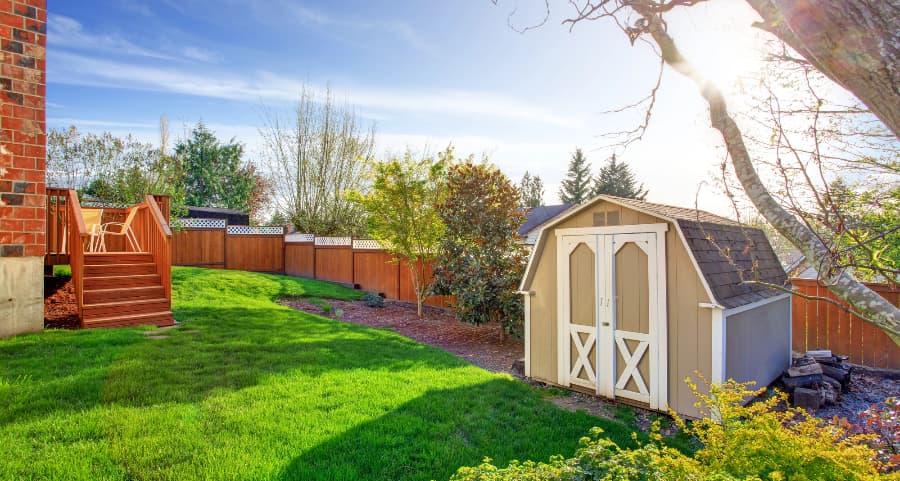 Fenced backyard with storage shed in Auburn